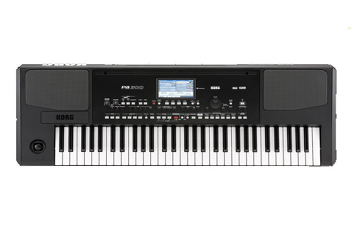 DAN-ORGAN-KORG-PA-300