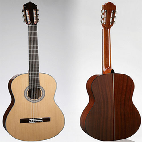 guitar-classic-Diana-DC190